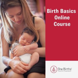 She Births® Birth Basics Online Course