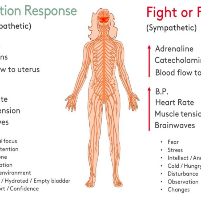 Relaxation response chart of human body